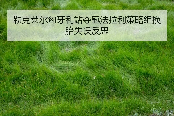 勒克莱尔匈牙利站夺冠法拉利策略组换胎失误反思